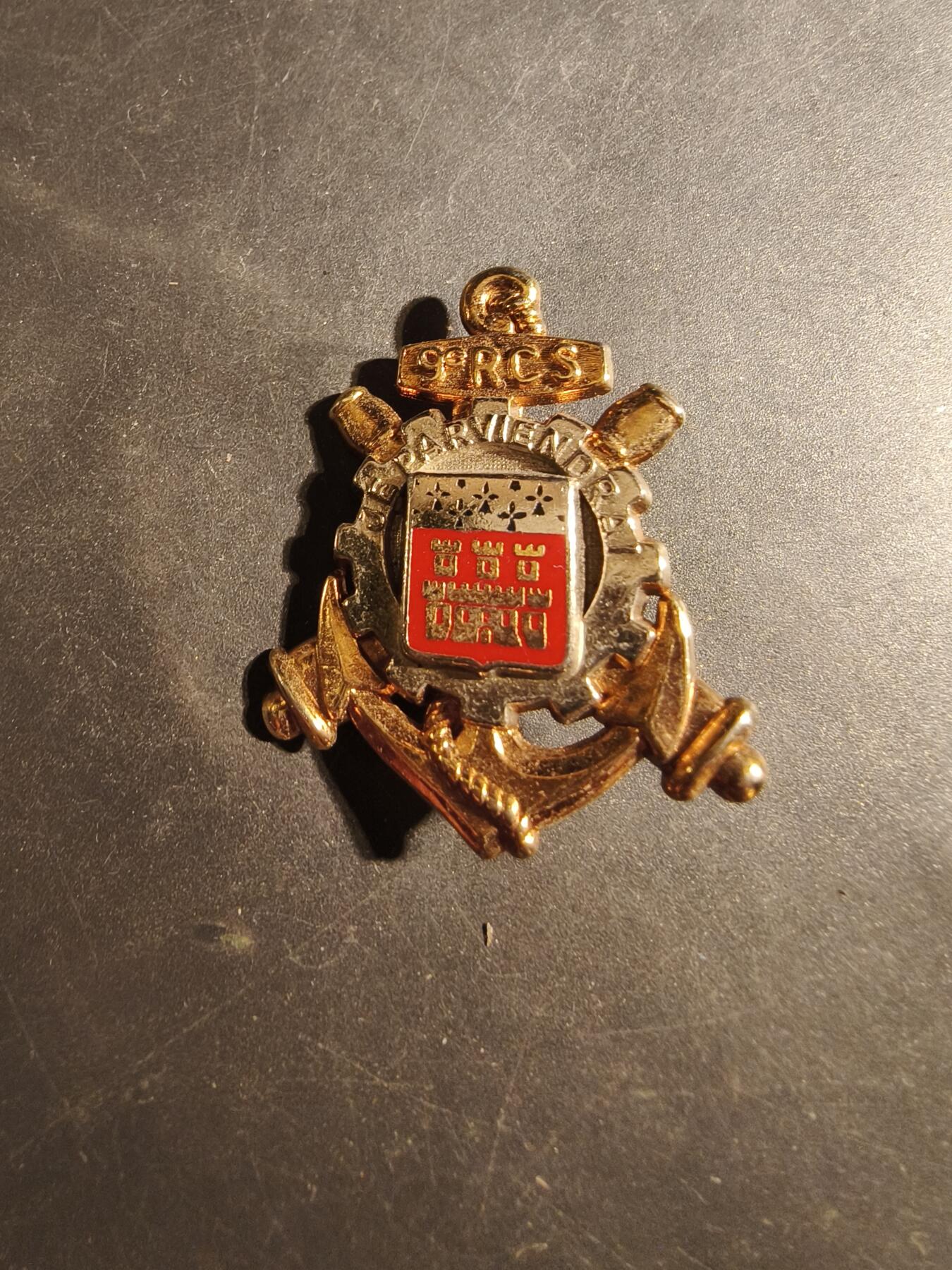 老王徽章第179期 法国陆军第9指挥支援团证章