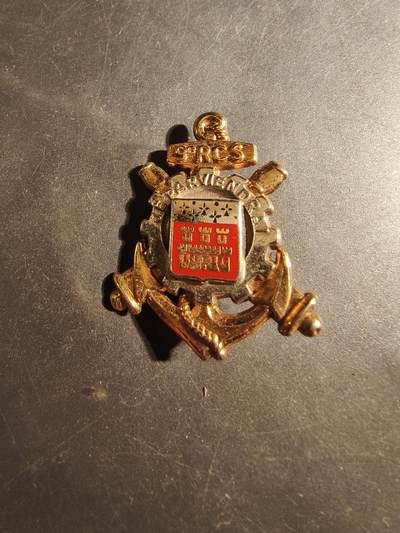 老王徽章第179期 - 法国陆军第9指挥支援团证章