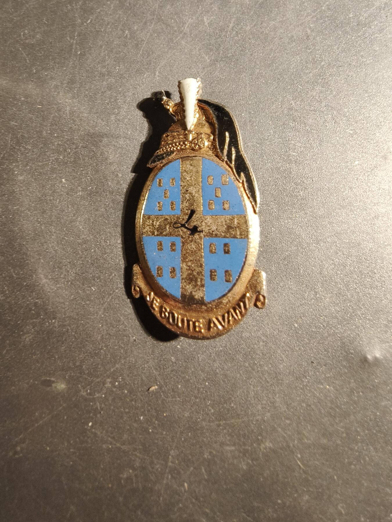 老王徽章第179期 法国陆军第4龙骑兵团证章