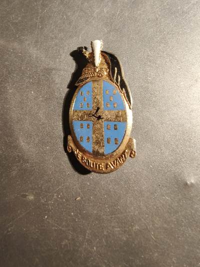 老王徽章第179期 - 法国陆军第4龙骑兵团证章