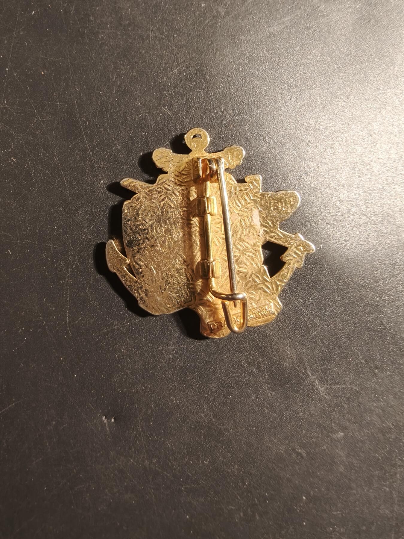 老王徽章第179期 法国陆军第41通信团3连证章