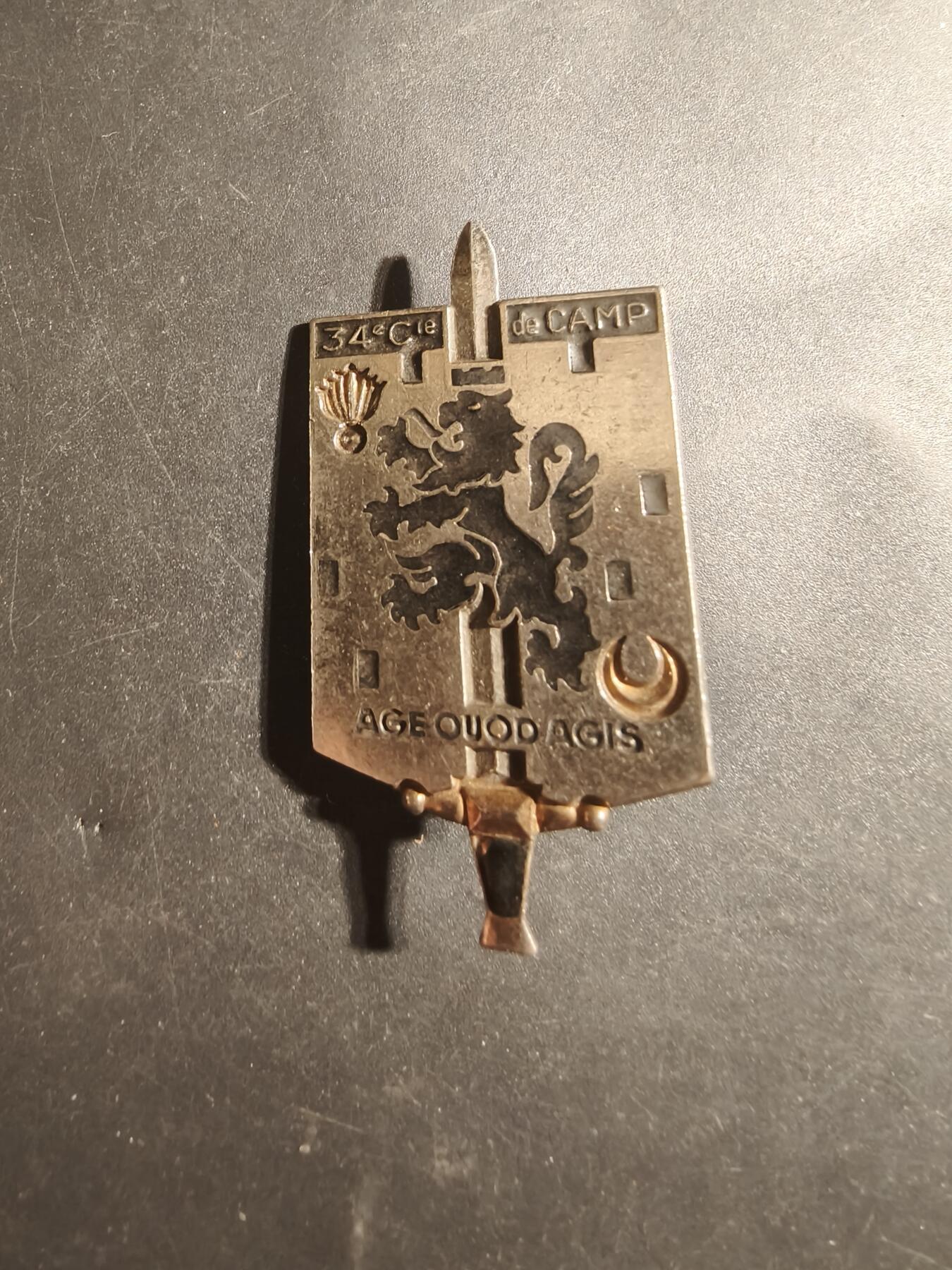 老王徽章第179期 法国陆军第34营地连证章