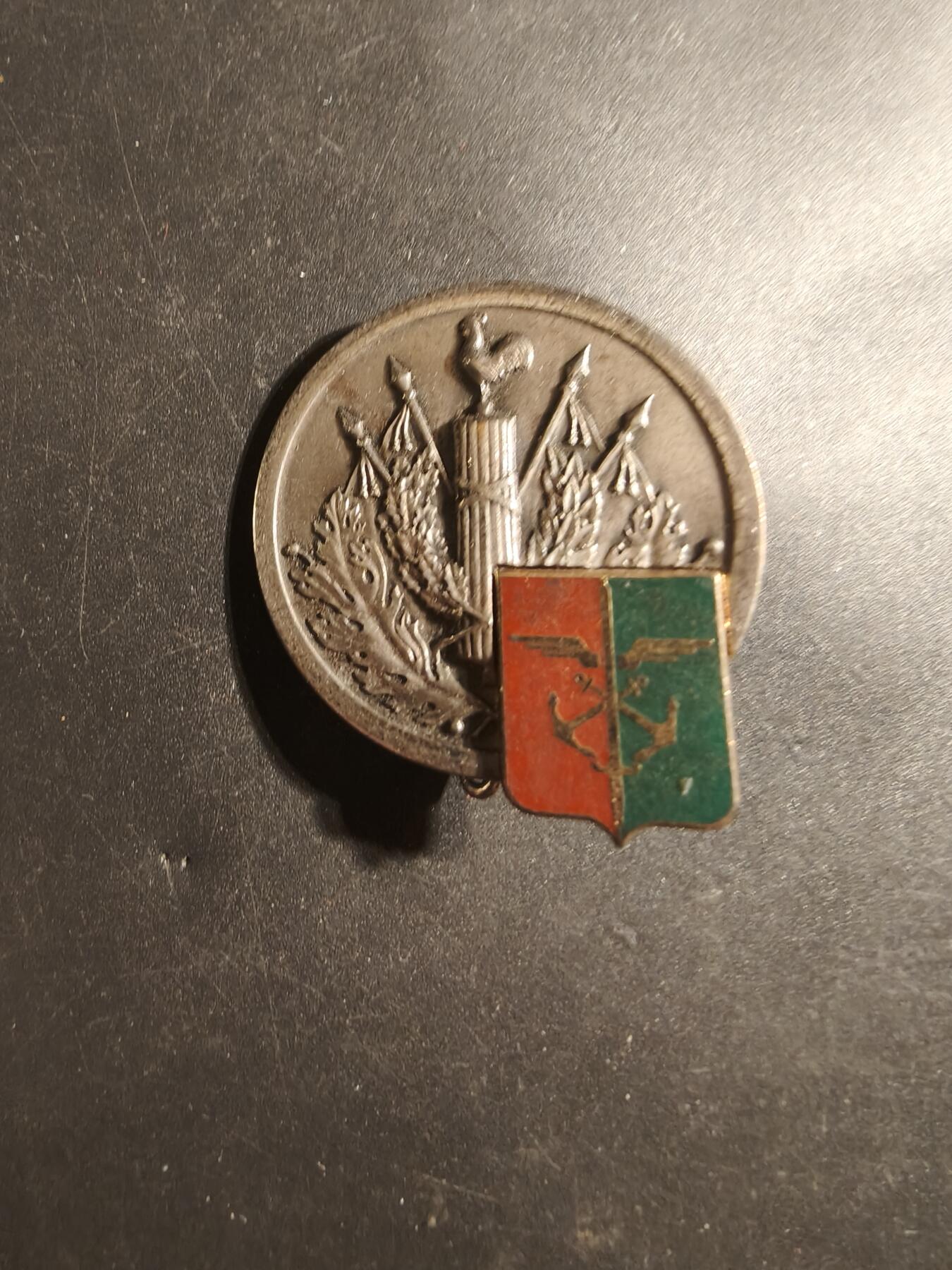 老王徽章第179期 法国陆军后勤部队“蝾螈”师证章