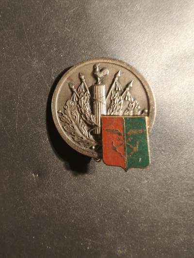 老王徽章第179期 - 法国陆军后勤部队“蝾螈”师证章