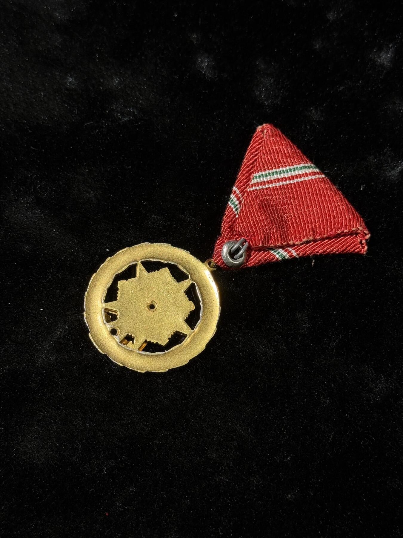 戎马世界章牌大赏第110期 匈牙利杰出服役奖章，珐琅有损