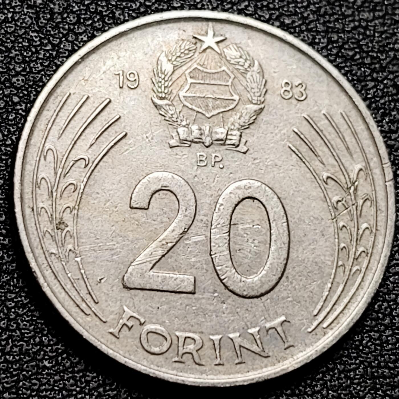 泉币菌-第175场- 精品福利场 。