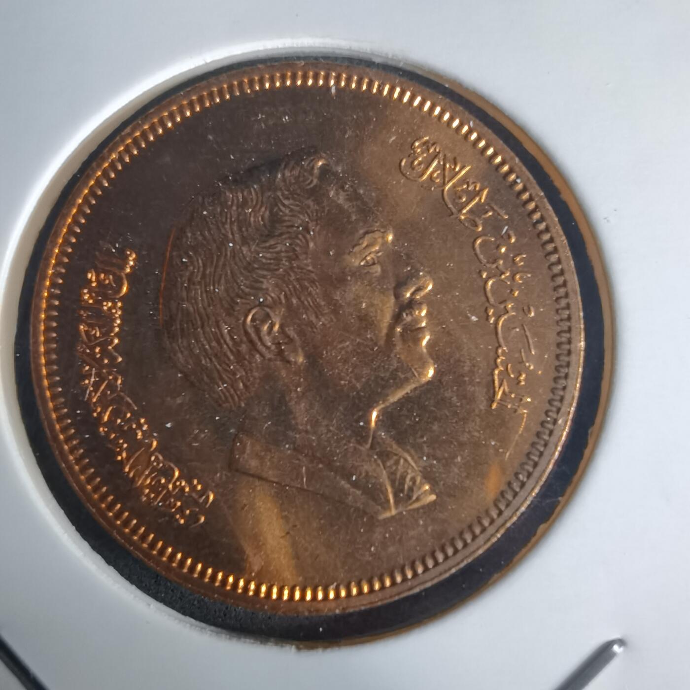 沼泽如烟--第975场