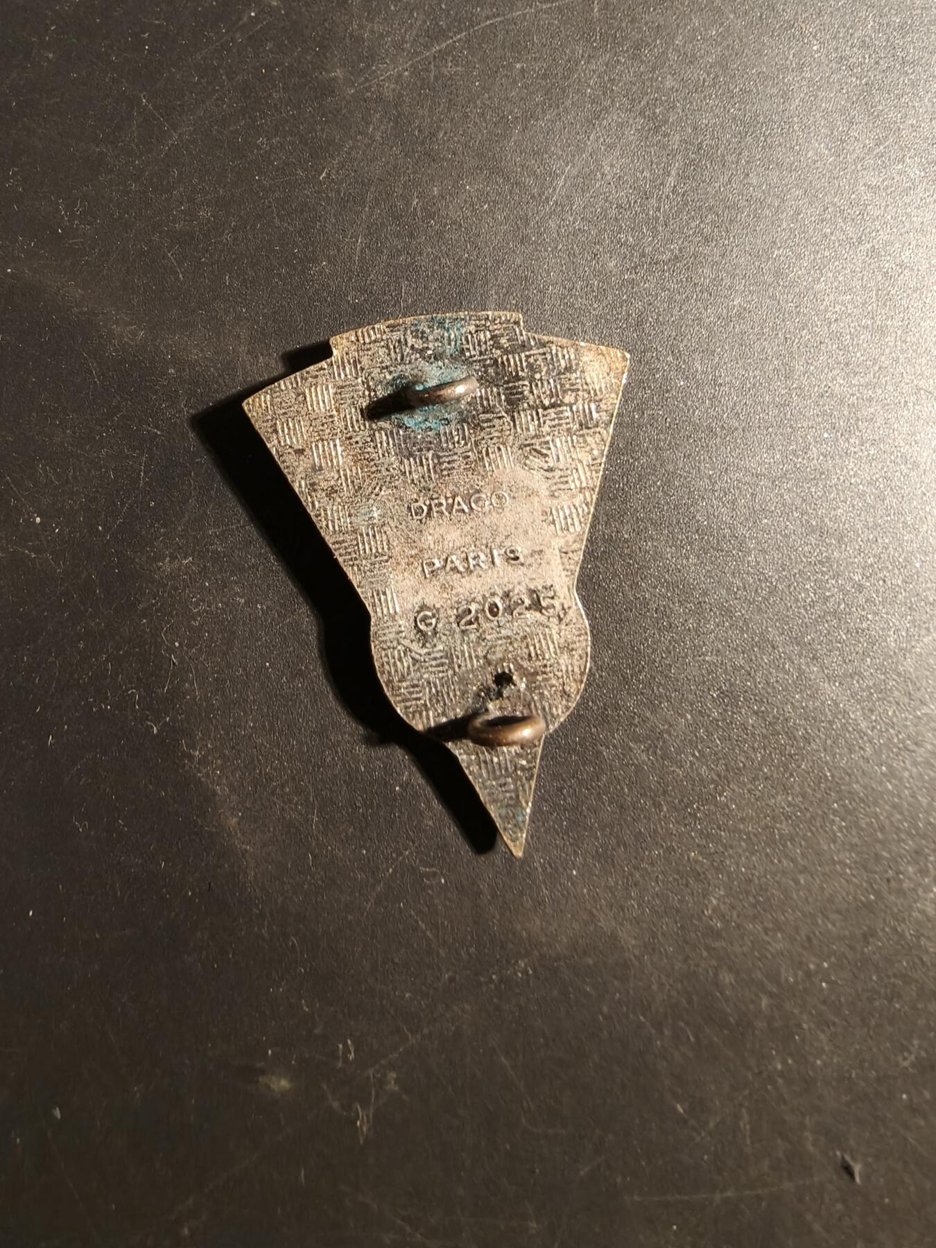 老王徽章第179期 法国陆军第34工兵团证章