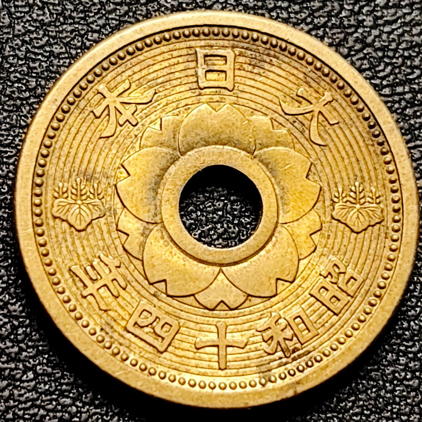 泉币菌-第175场- 精品福利场 。