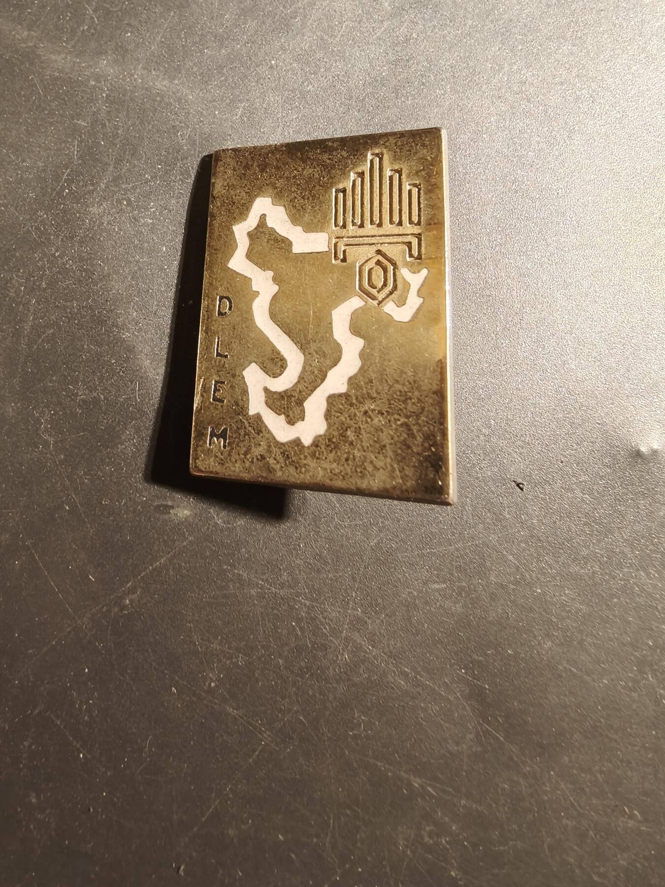 老王徽章第179期 法国外籍军团马约特岛分遣队证章