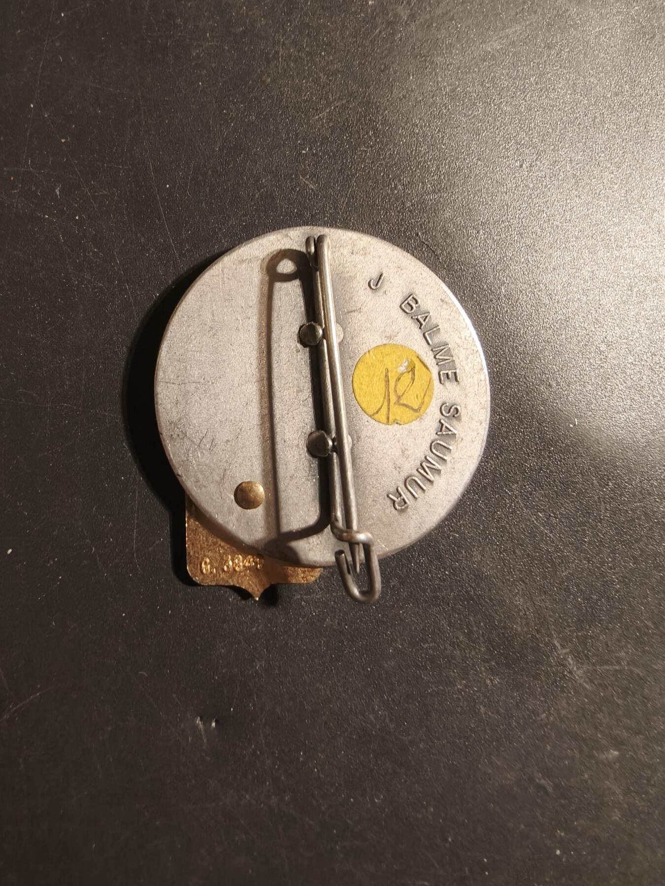 老王徽章第179期 法国陆军后勤部队“蝾螈”师证章