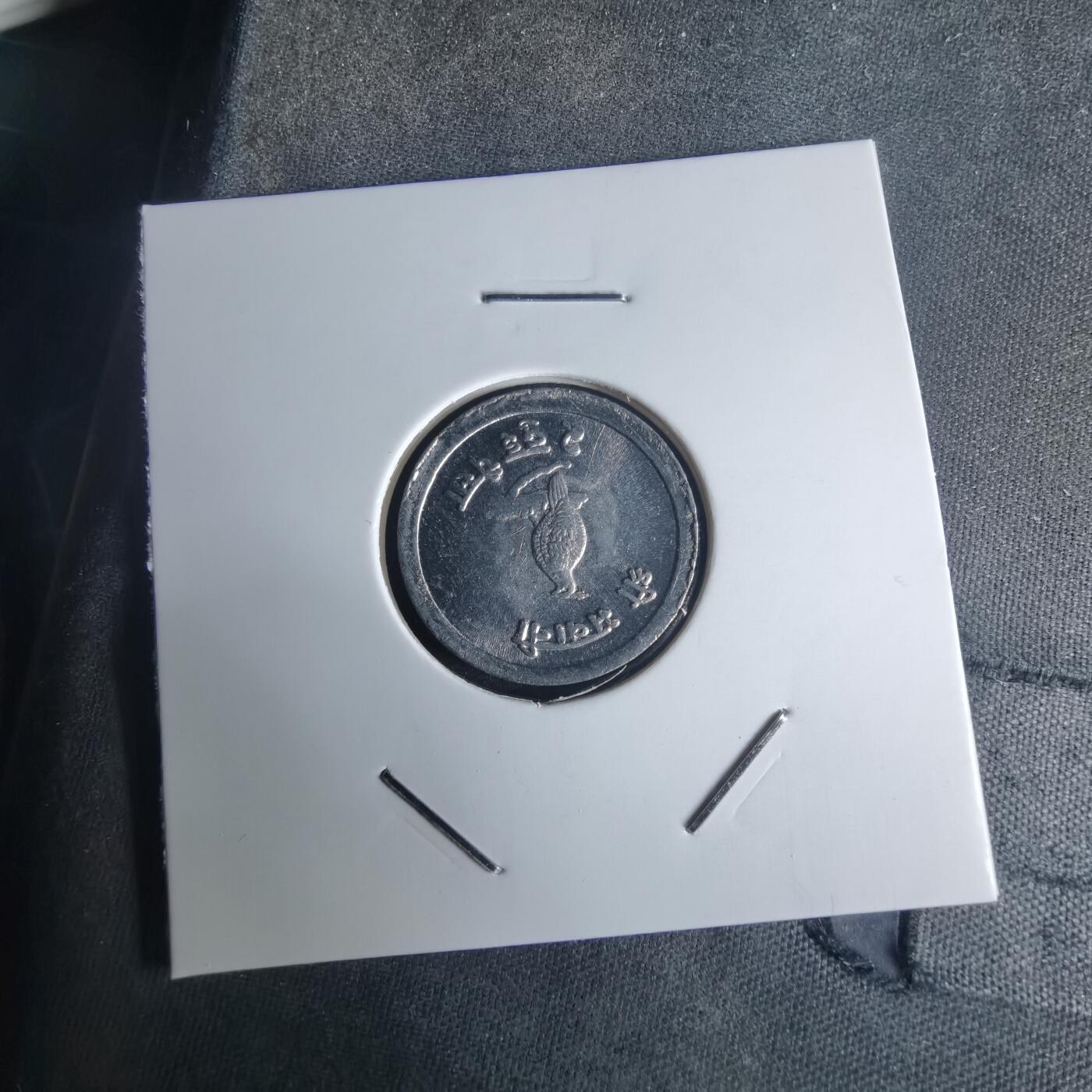 沼泽如烟--第975场