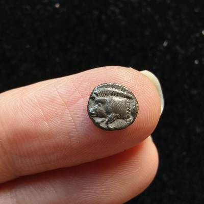 七河·世界币章矿标杂件每周小拍（总第35期）（本场周二结标） - 精品（22）k630古希腊银币 野猪狮子图案  华夏评级XF45