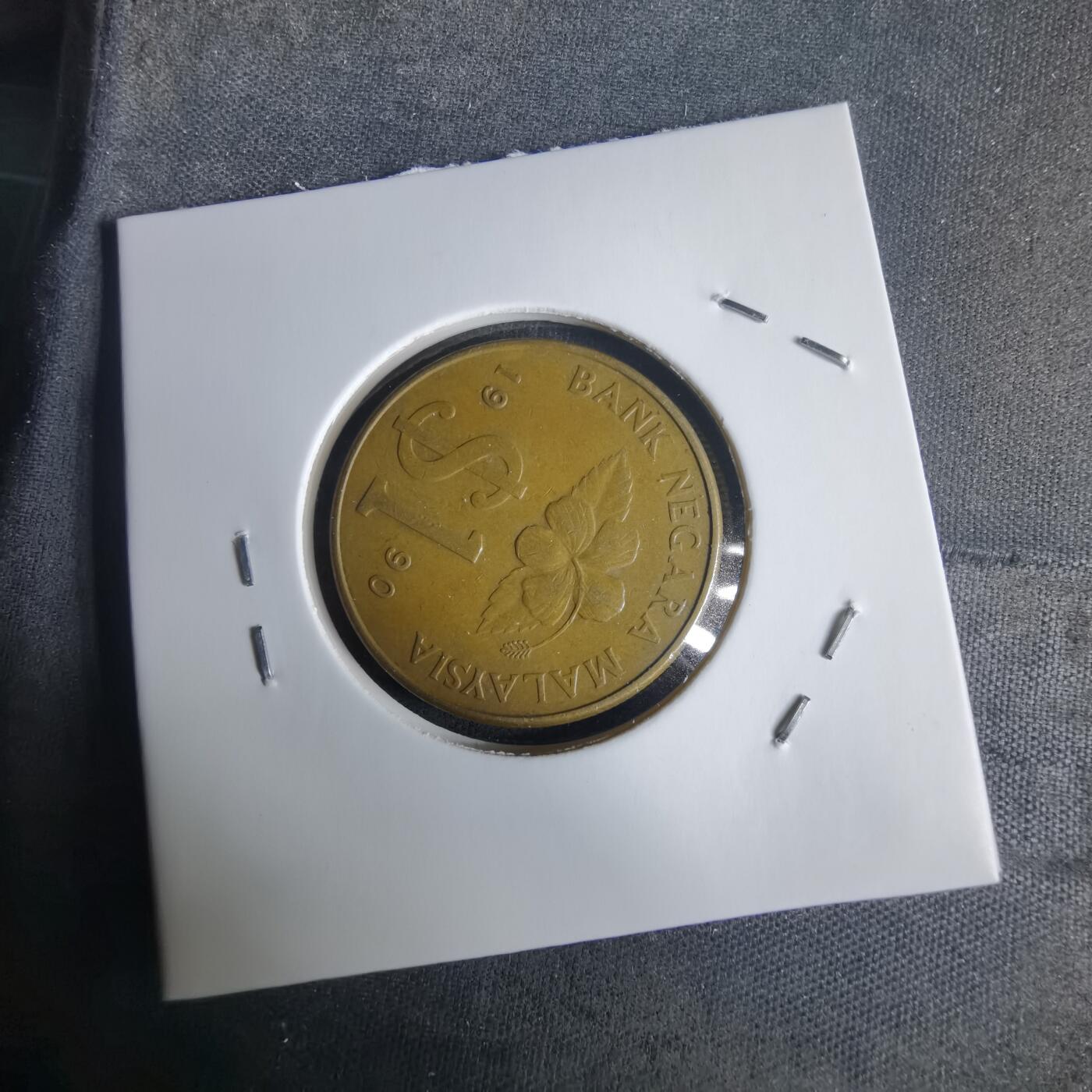 沼泽如烟--第975场