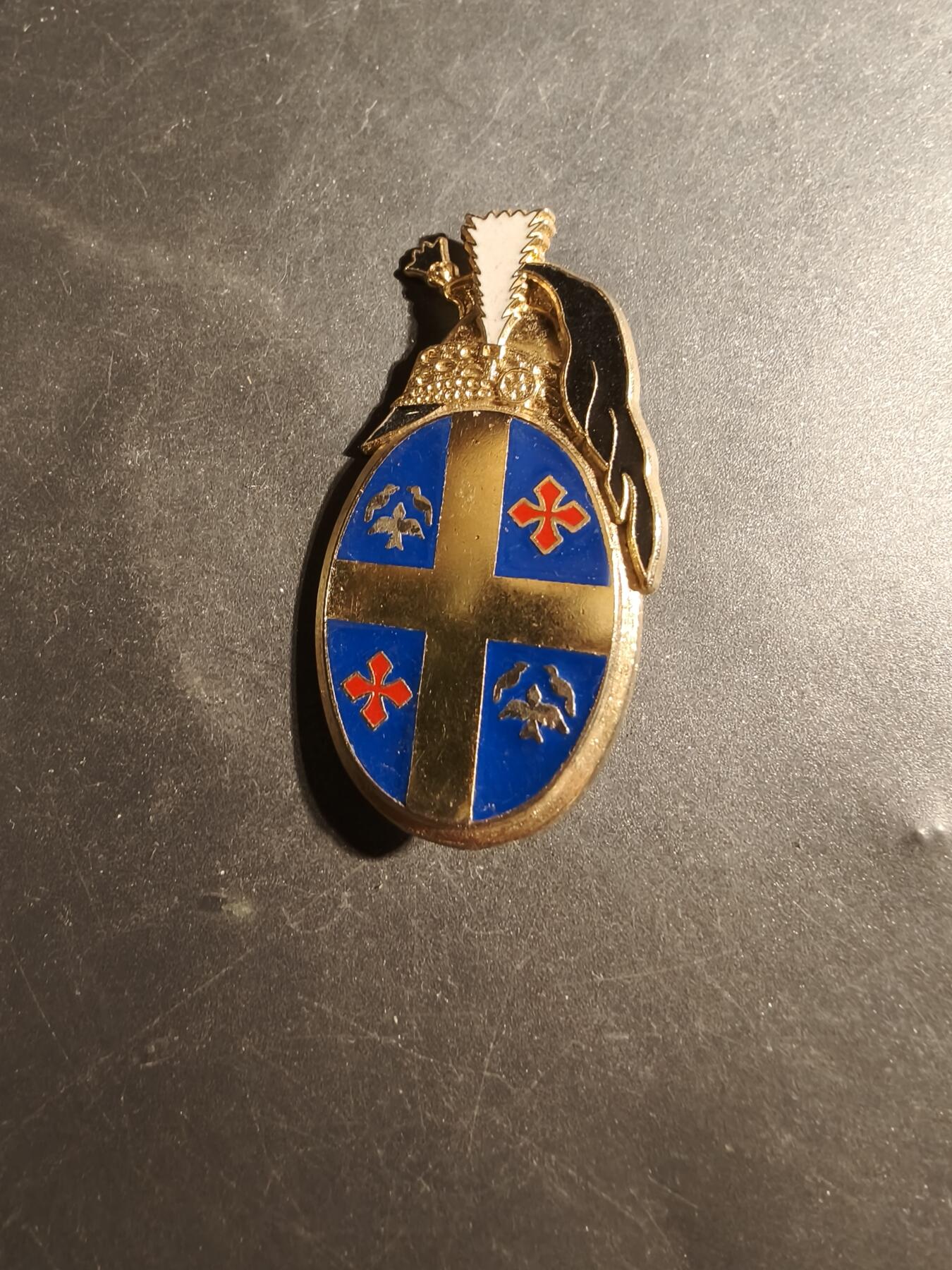 老王徽章第179期 法国陆军第10龙骑兵团证章