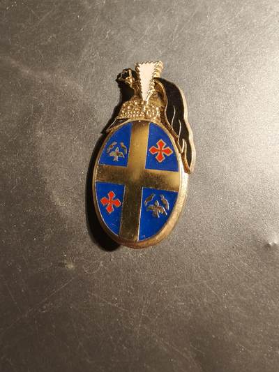 老王徽章第179期 - 法国陆军第10龙骑兵团证章