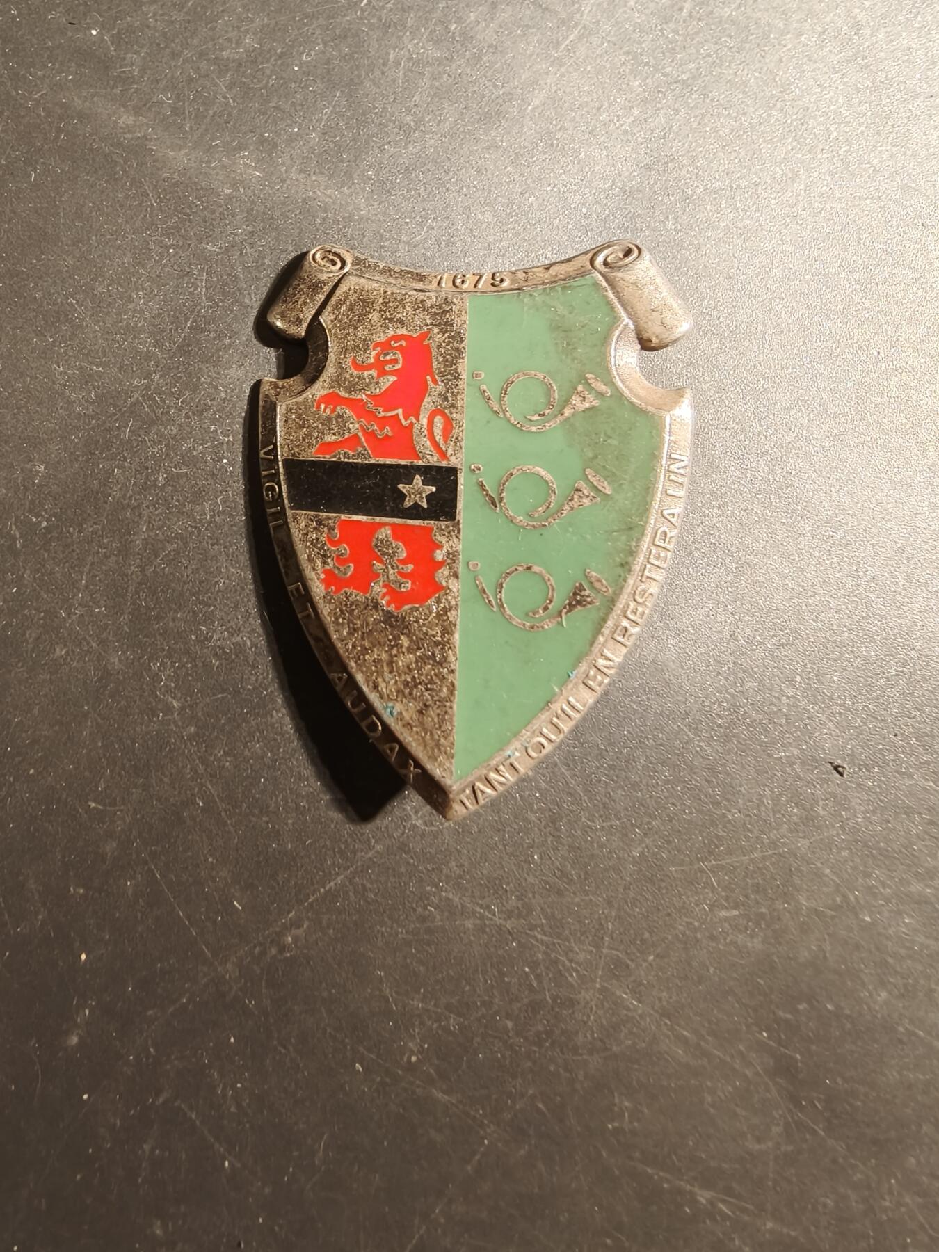 老王徽章第179期 法国第3猎兵团证章