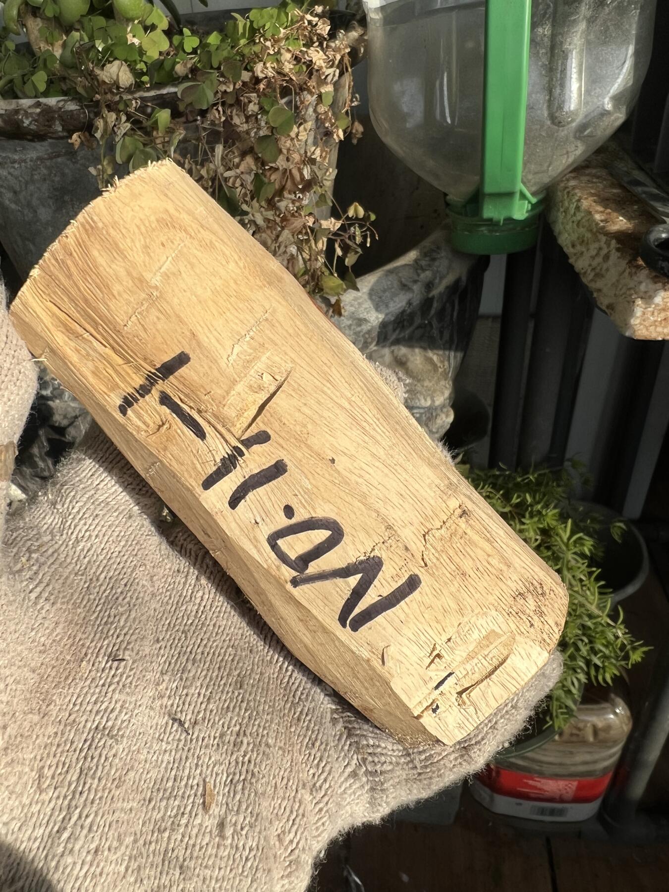 零元拍：  NO.11-1海南黄花梨 天然小狐狸有没有。尺寸约115/40/40MM