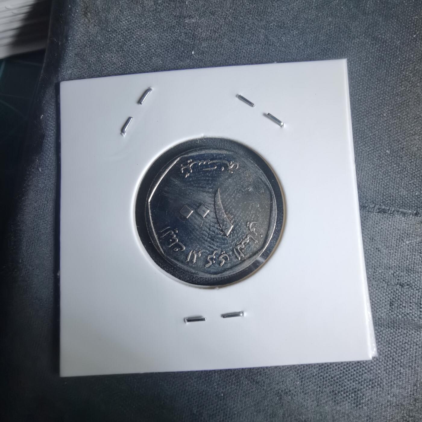 沼泽如烟--第975场