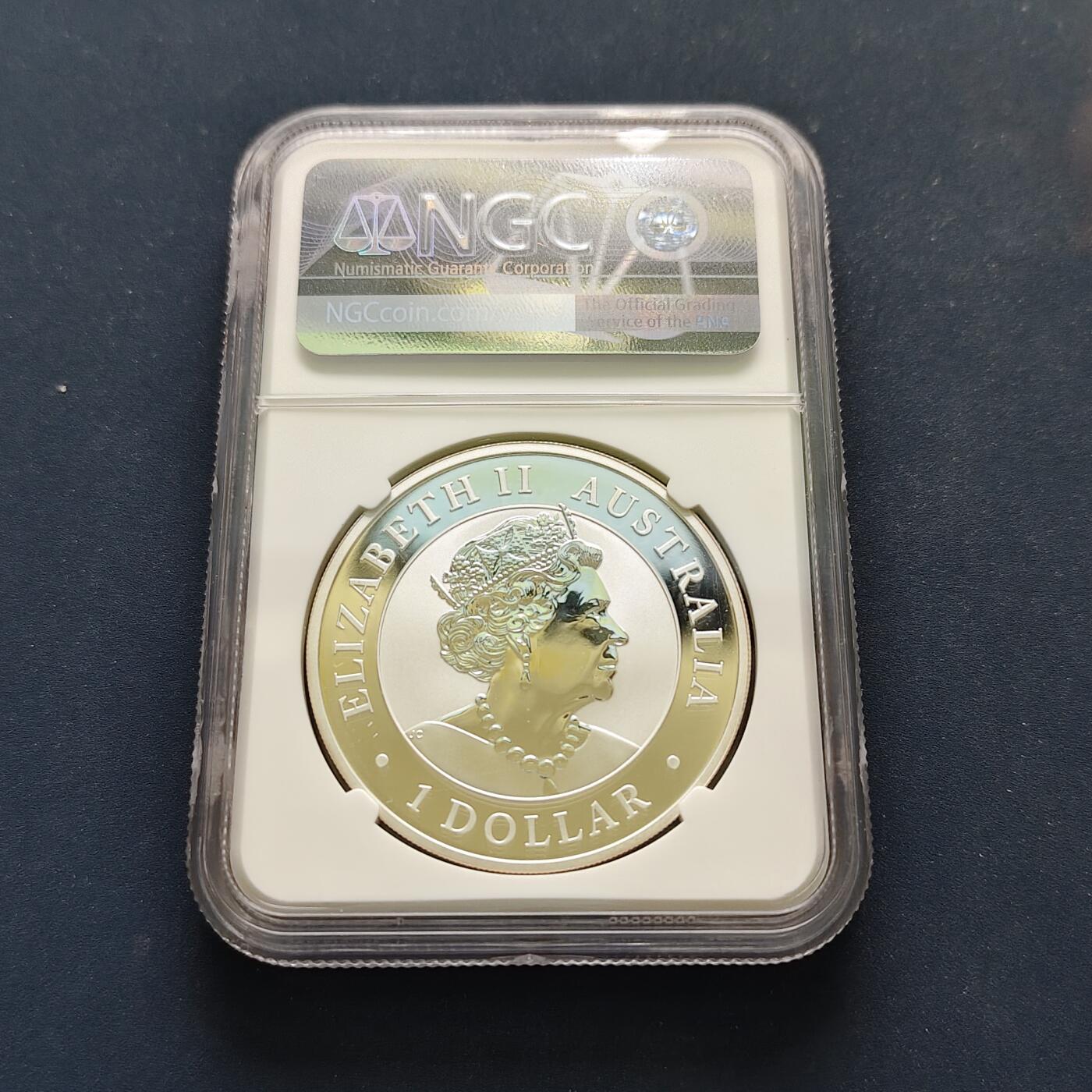 【全场包邮】纯粹捡漏拍499场-持续更新中 【满分·收藏级】澳大利亚2004年1元翠鸟1盎司999纯银币【40.5毫米31.1克99.9%，纯银价约870元（按28元银价折算）】-NGC MS70