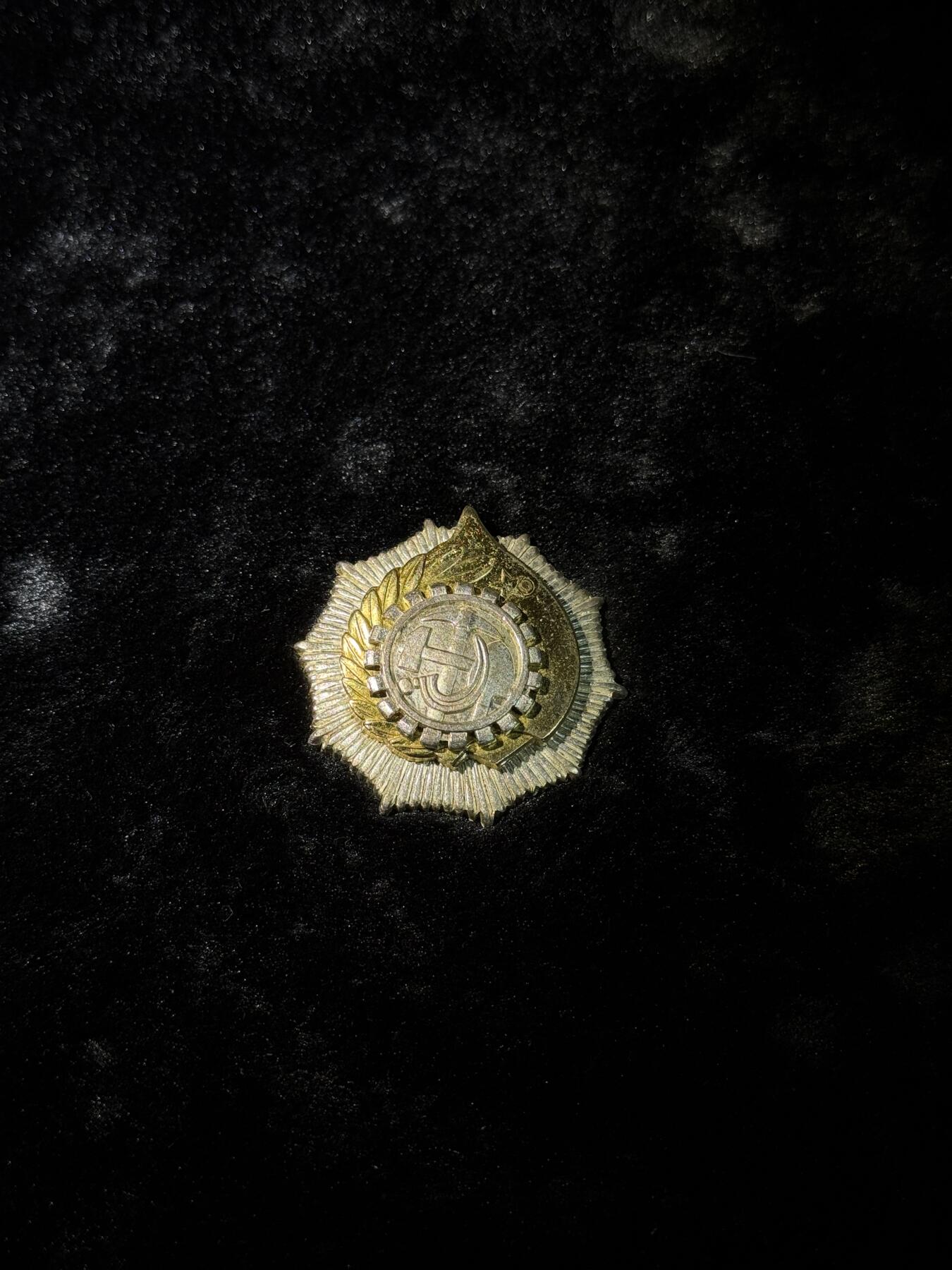 戎马世界章牌大赏第110期 阿尔巴尼亚二级劳动勋章