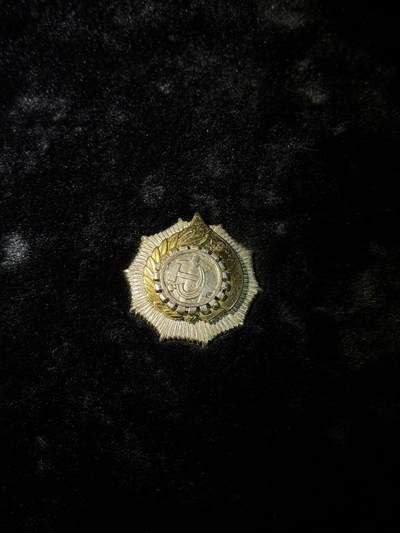 戎马世界章牌大赏第110期 - 阿尔巴尼亚二级劳动勋章