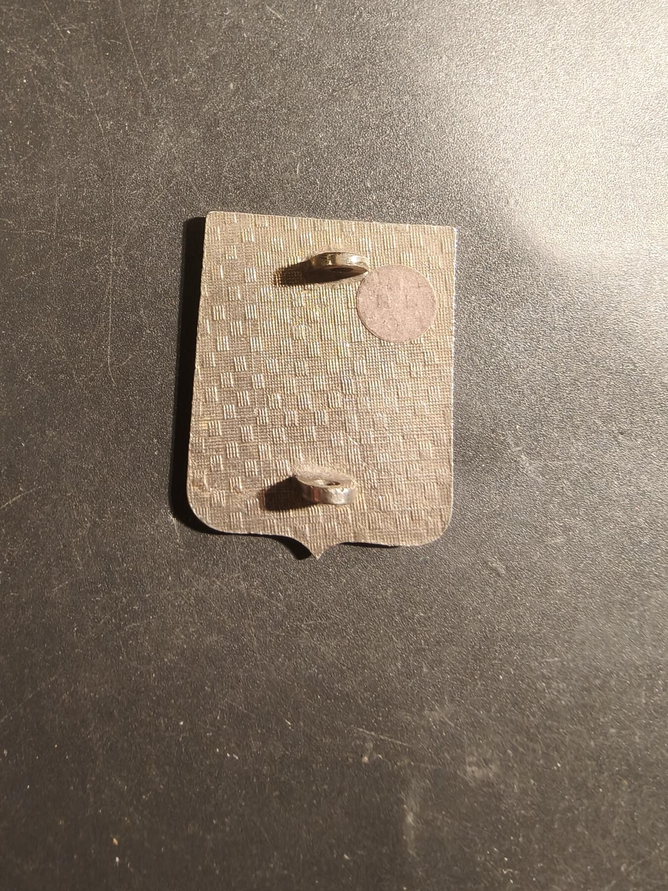 老王徽章第179期 法国第3龙骑兵团证章