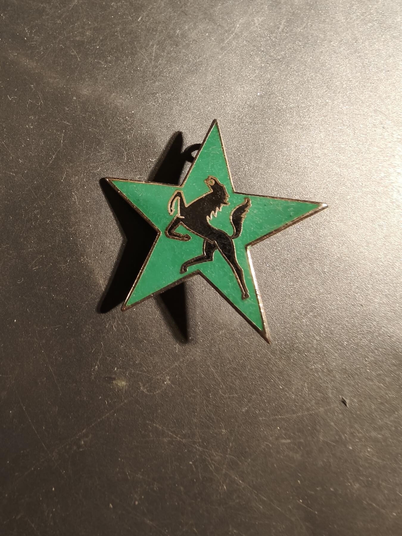 老王徽章第179期 法国陆军第5装甲师证章