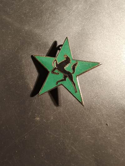 老王徽章第179期 - 法国陆军第5装甲师证章