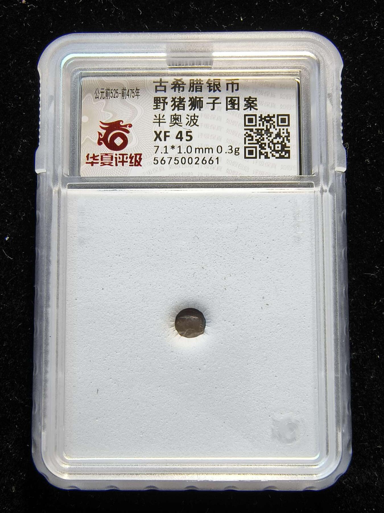 七河·世界币章矿标杂件每周小拍（总第35期）（本场周二结标） 精品（22）k630古希腊银币 野猪狮子图案  华夏评级XF45