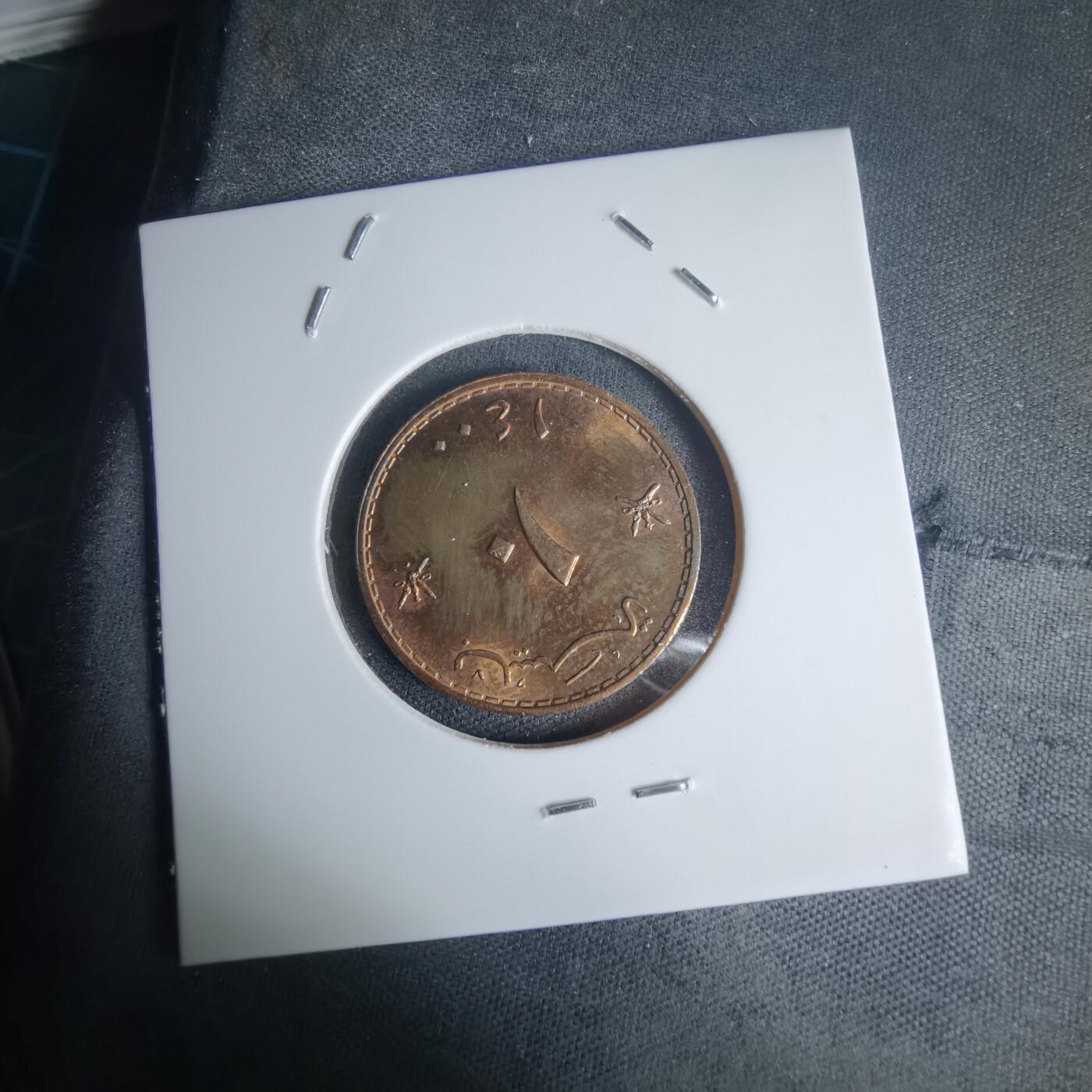 沼泽如烟--第975场