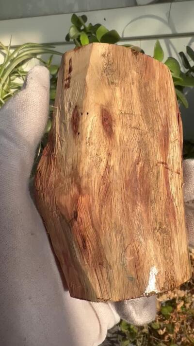 零元拍：  NO.11-3 海南黄花梨原料。100/55/50MM