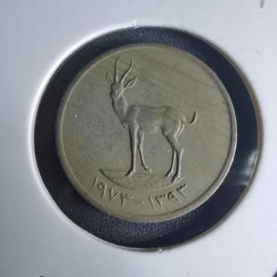 沼泽如烟--第975场 - 阿联酋