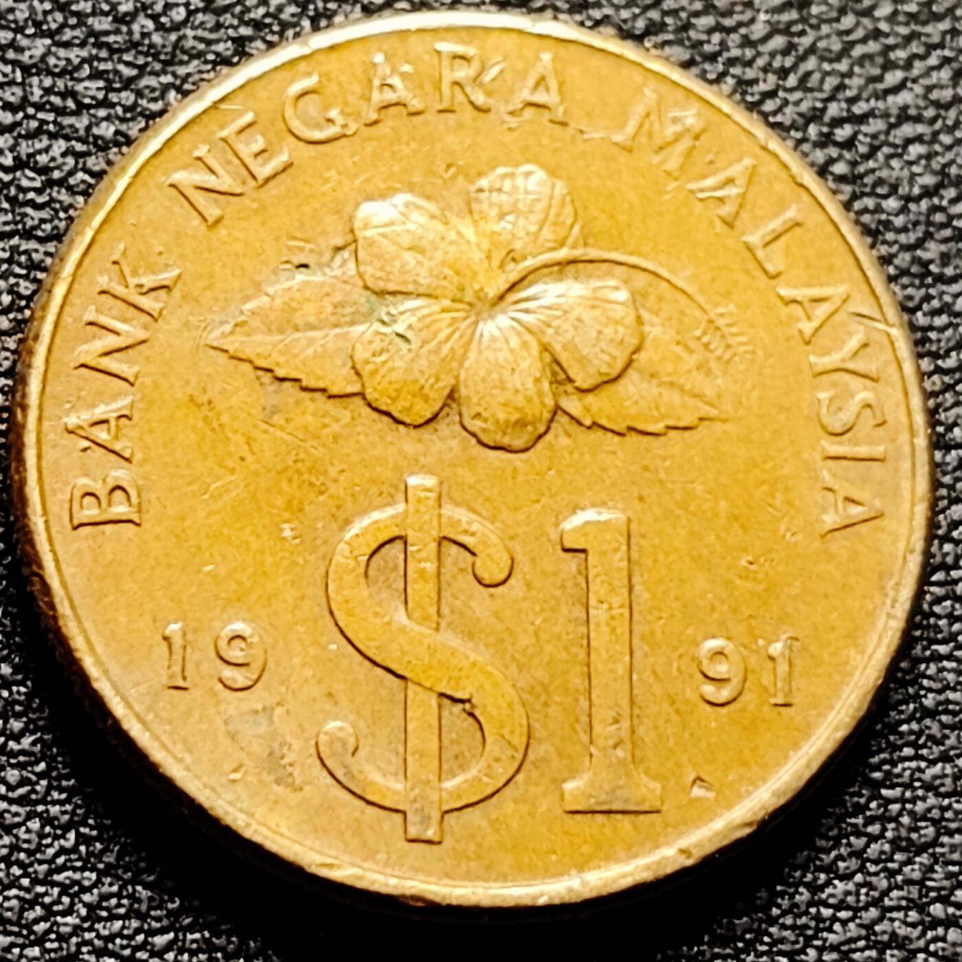 泉币菌-第175场- 精品福利场 。