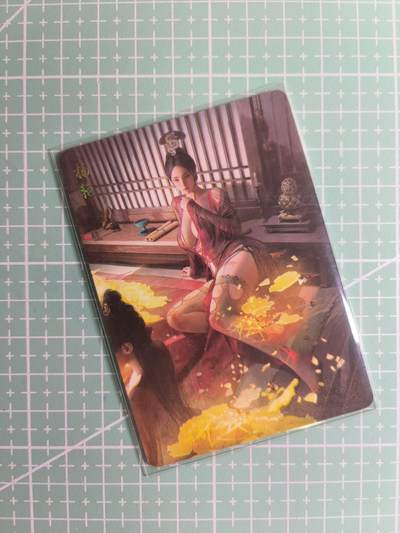 第20期  2026马年祝大家 身体健康 万事如意 (持续收拍品中…) - 【普卡】燎原×刷子《人间传》杨艳 双服饰