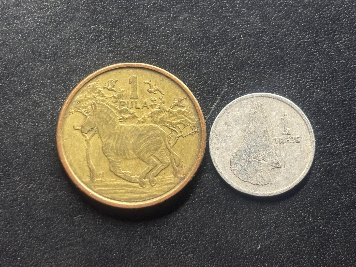 邮泉阁限时拍卖第四十场 非洲专场（硬币在国外。请付邮费6元。） 博兹瓦纳2枚