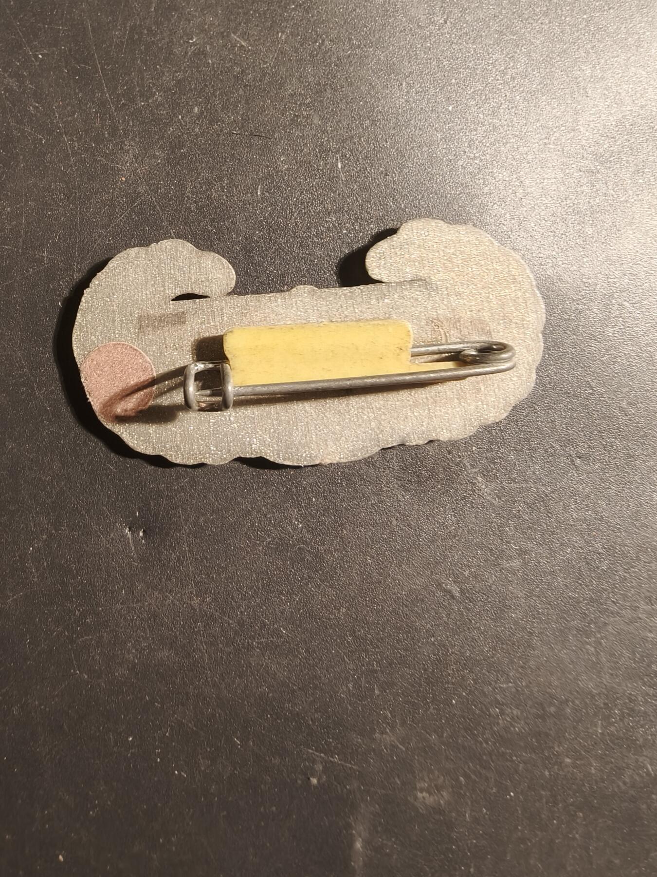 老王徽章第179期 美国空中突击证章     塑料材质