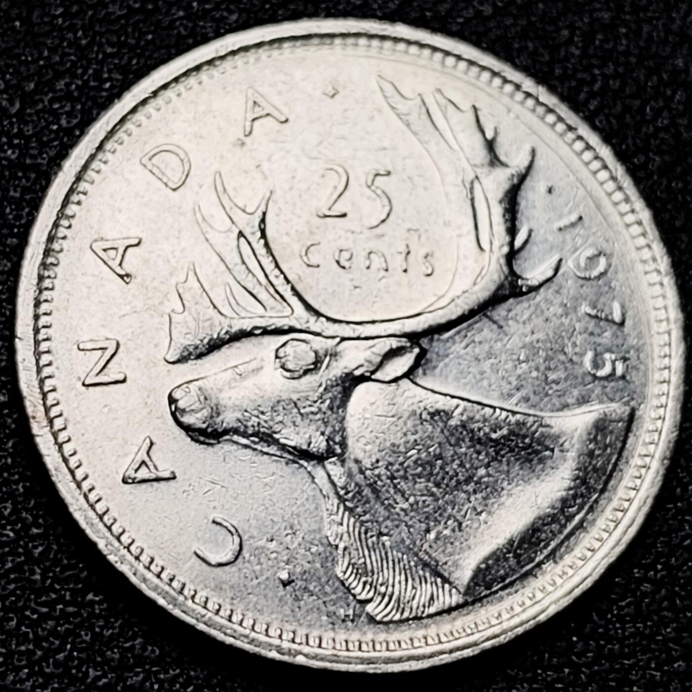 泉币菌-第175场- 精品福利场 。