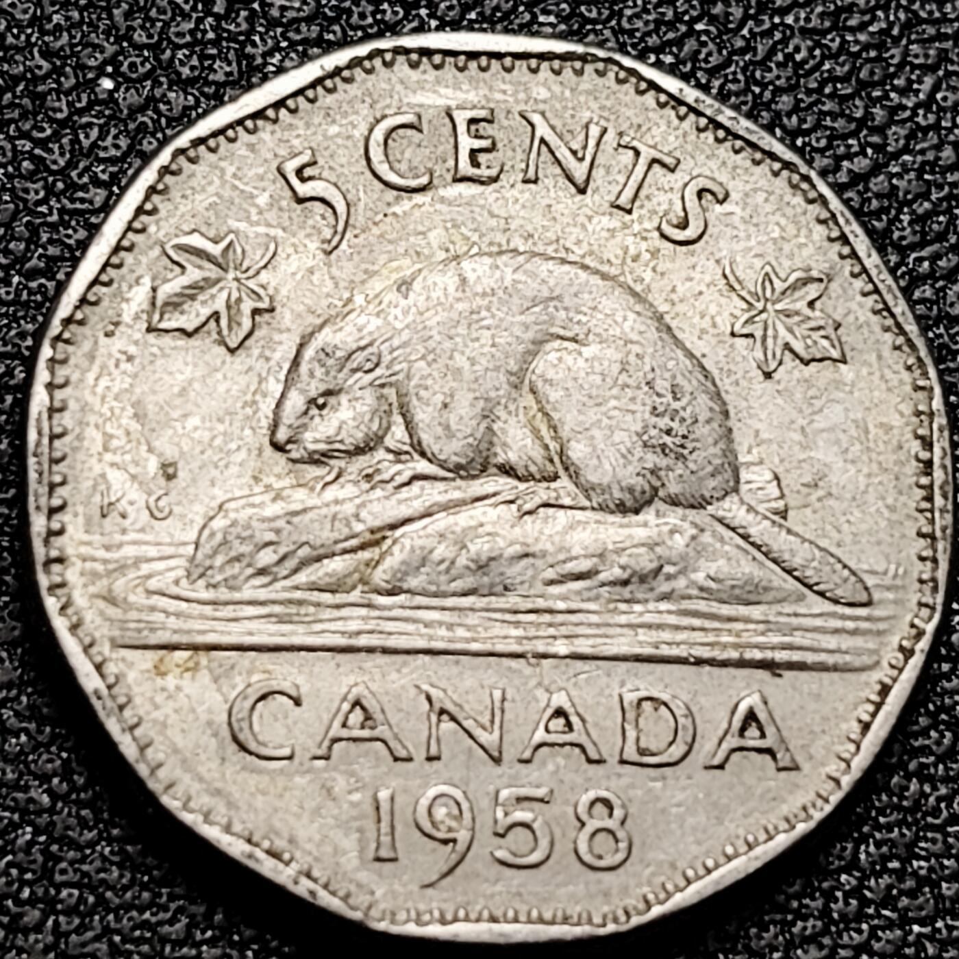 泉币菌-第175场- 精品福利场 。