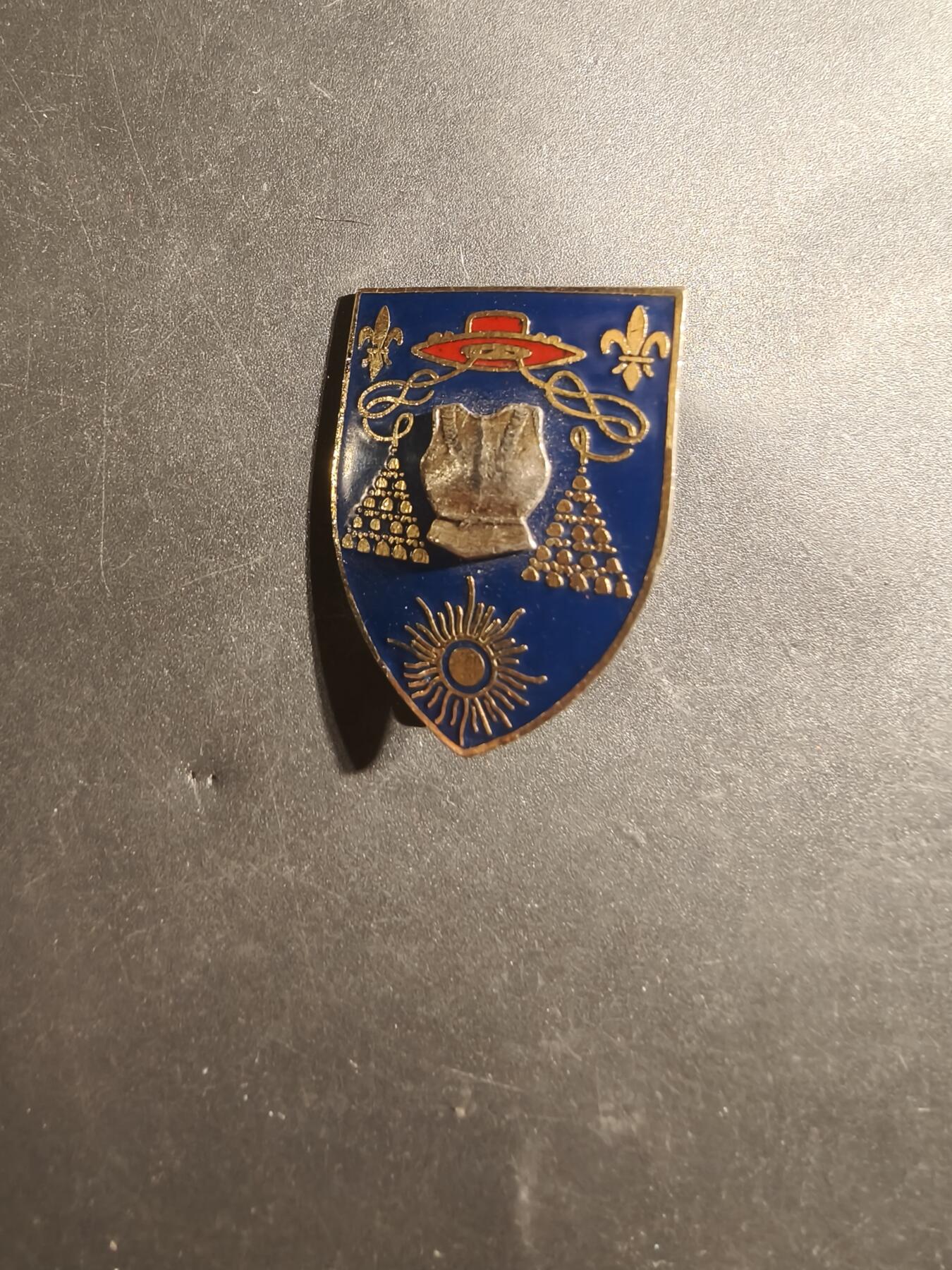 老王徽章第179期 法国第6胸甲骑兵团证章