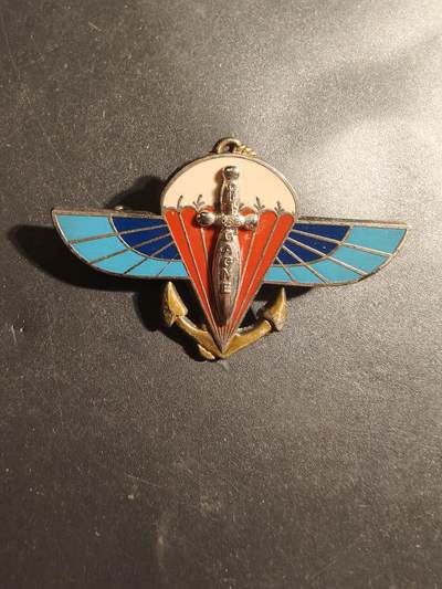 老王徽章第179期 - 法国海军陆战队第2伞兵团证章