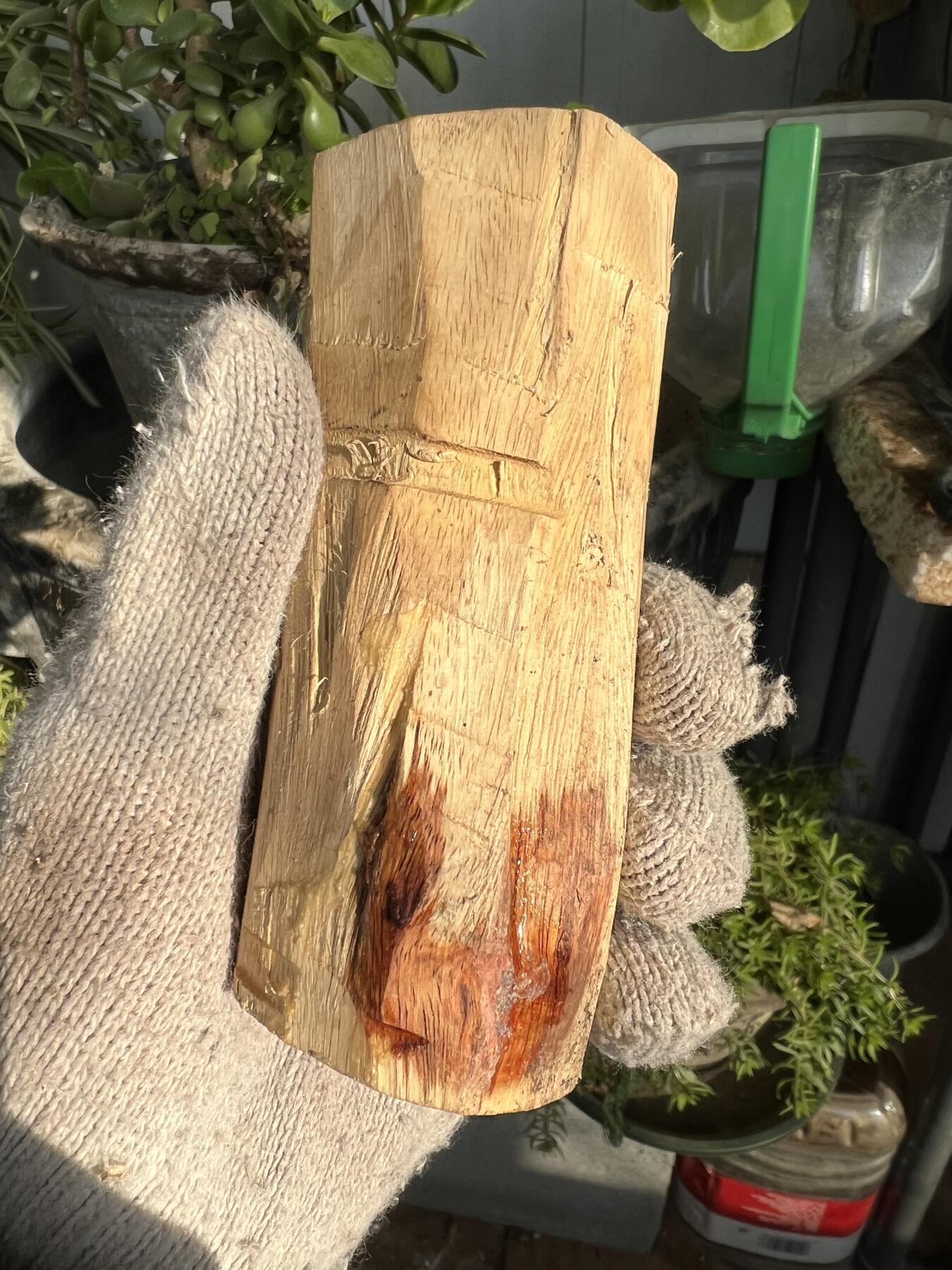 零元拍：  NO.11-1海南黄花梨 天然小狐狸有没有。尺寸约115/40/40MM