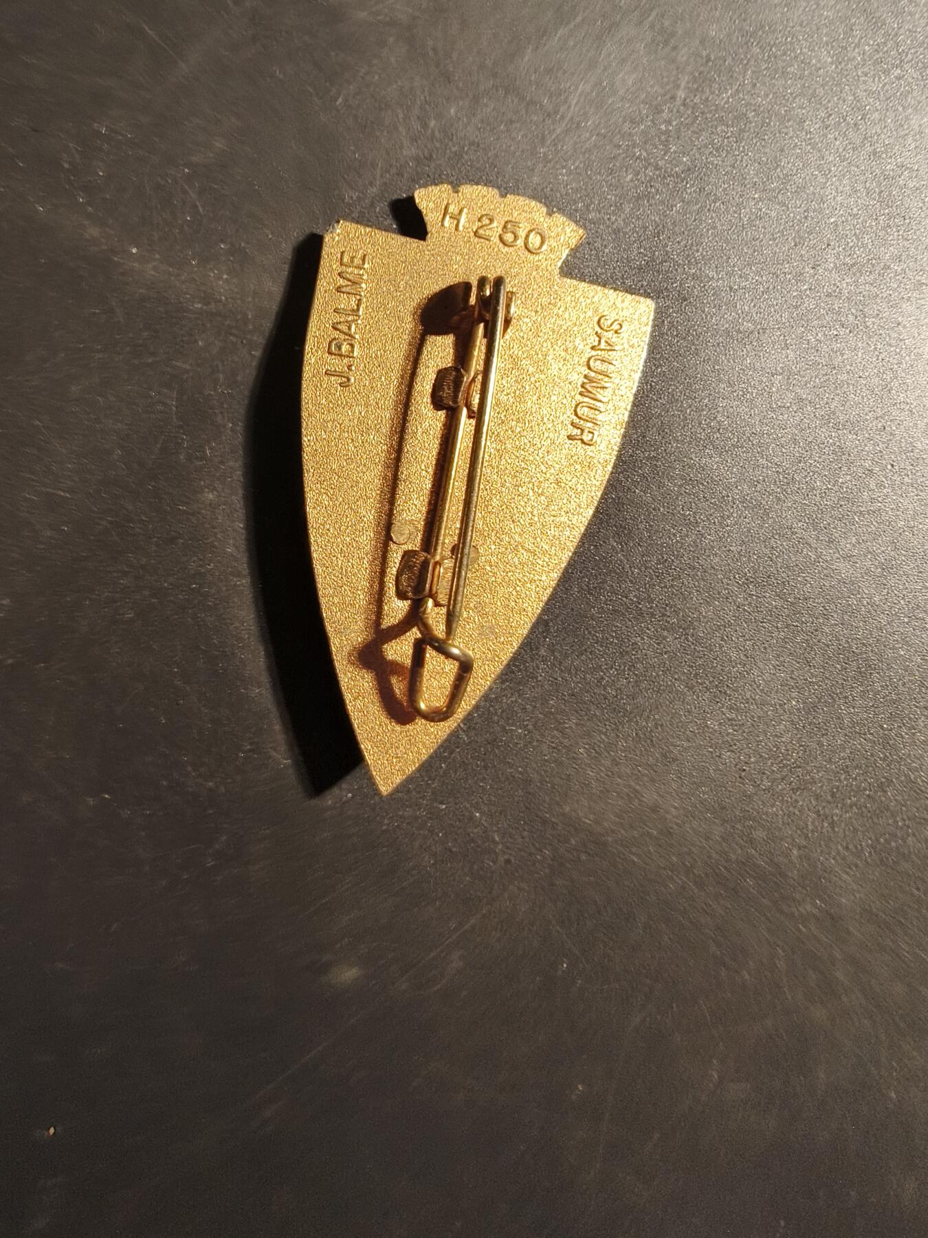 老王徽章第179期 法国外籍军团圭亚那工兵学校证章