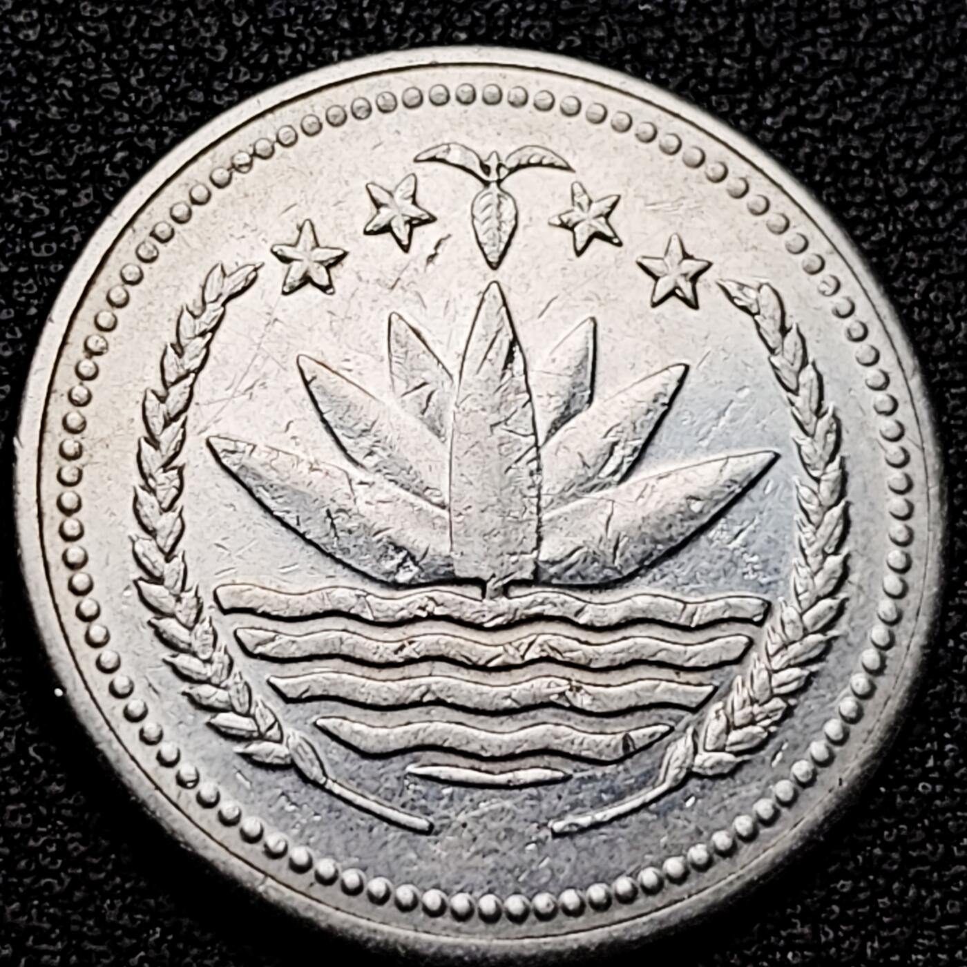 泉币菌-第175场- 精品福利场 。