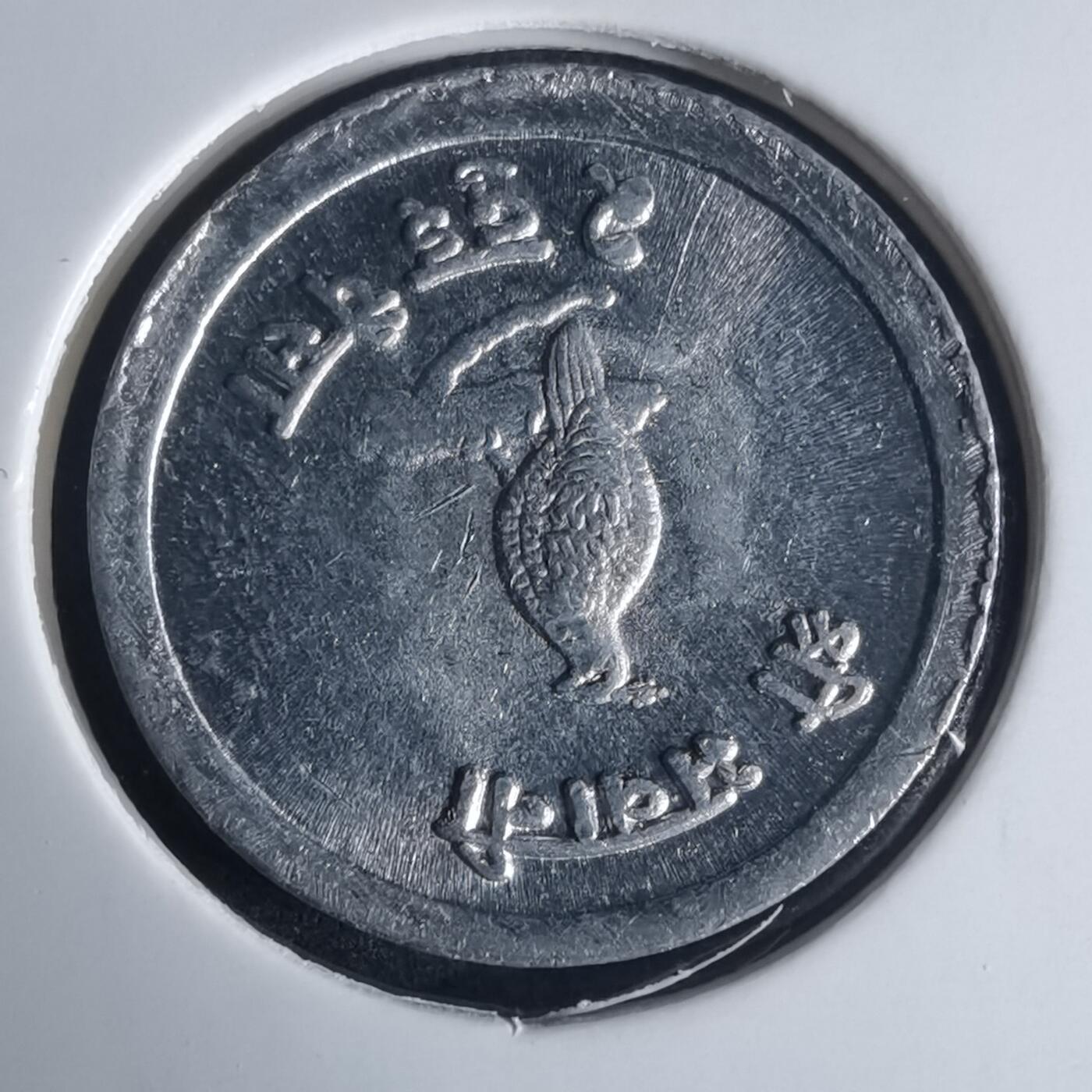 沼泽如烟--第975场