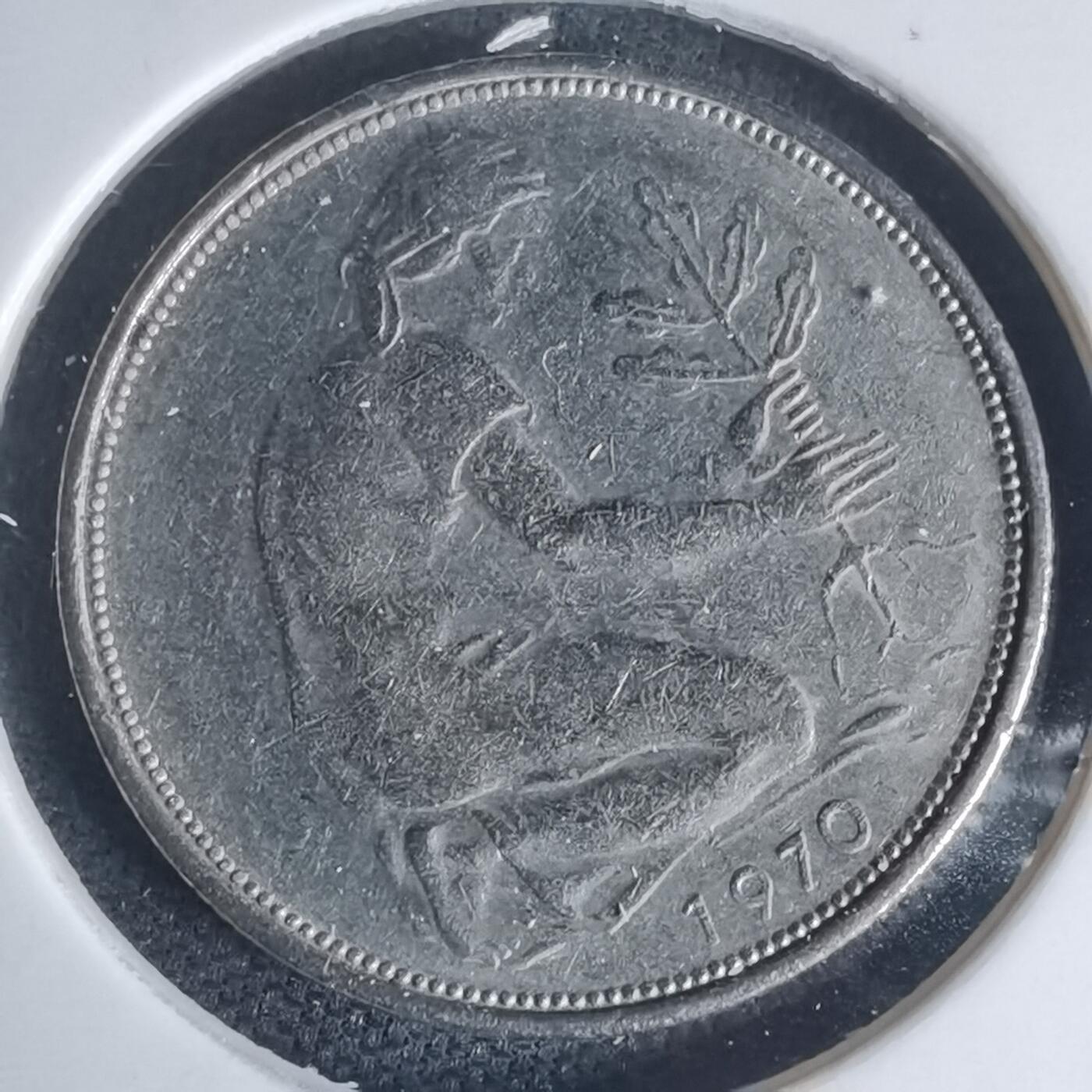 沼泽如烟--第975场