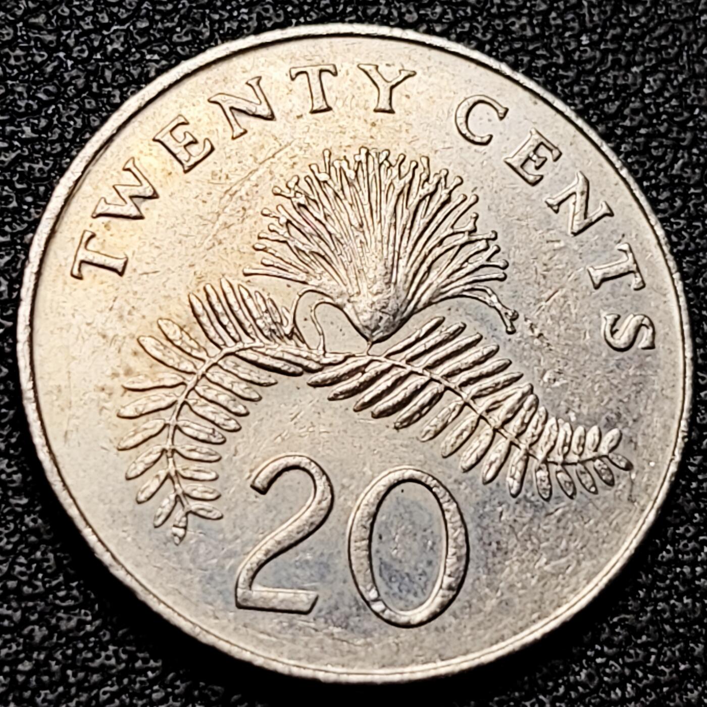 泉币菌-第175场- 精品福利场 。