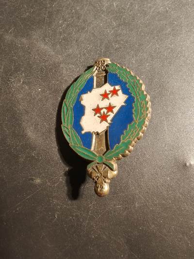 老王徽章第179期 - 法国陆军第72炮兵团第39野战群证章