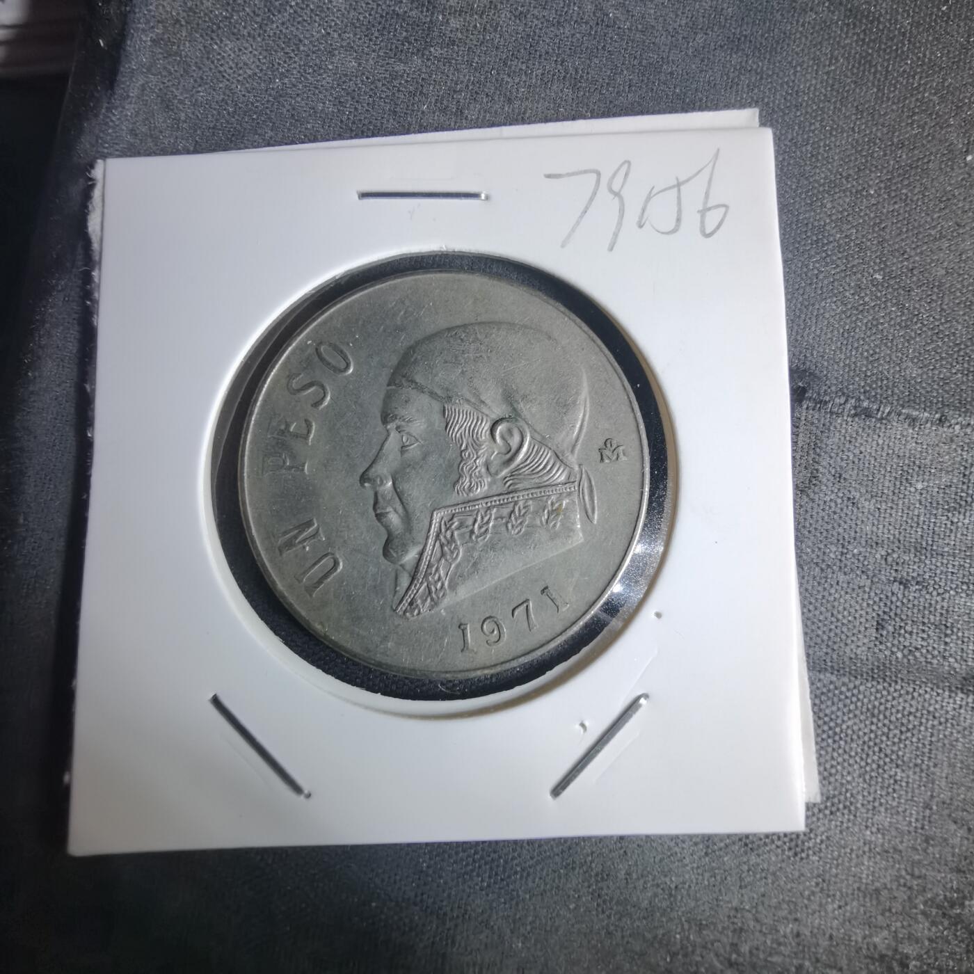 沼泽如烟--第975场