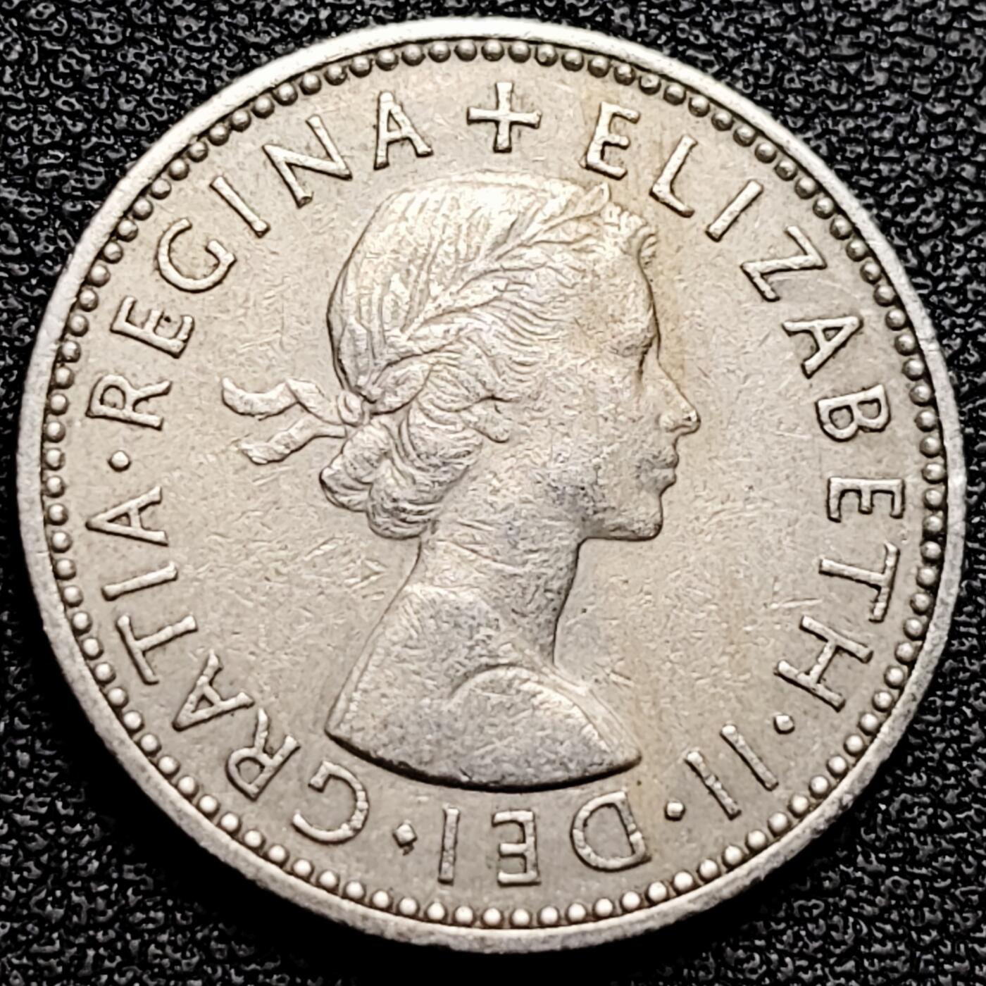 泉币菌-第175场- 精品福利场 。